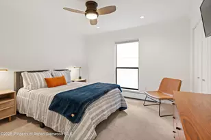 980 E Hyman Ave, Aspen, CO 81611 - Photo 22