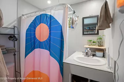 1188 Cr 106, Carbondale, CO 81623 - Photo 16