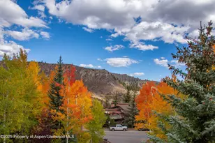 425 Wood Rd, Snowmass Village, CO 81615 - Photo 28