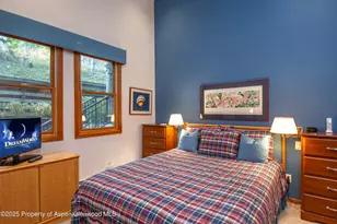 425 Wood Rd, Snowmass Village, CO 81615 - Photo 14