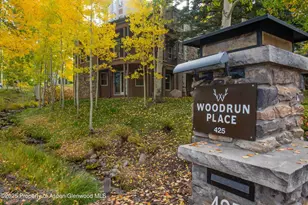 425 Wood Rd, Snowmass Village, CO 81615 - Photo 26