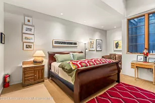 308 Park Ave, Aspen, CO 81611 - Photo 16