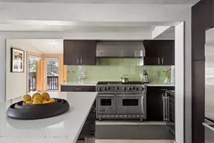 1038 Owl Creek Rd, Aspen, CO 81611 - Photo 12