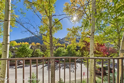 914 E Cooper Avenue, Aspen, CO 81611 - Photo 16