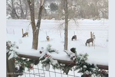 3211 County Road 237, Silt, CO 81652 - Photo 56