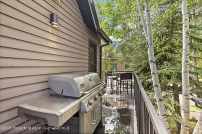 122 W Main Street, Aspen, CO 81611 - Photo 28