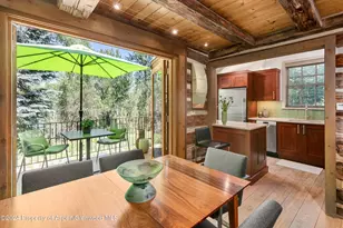 117 Neale Ave, Aspen, CO 81611 - Photo 6