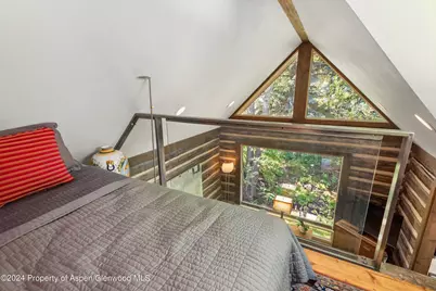 117 Neale Avenue, Aspen, CO 81611 - Photo 12