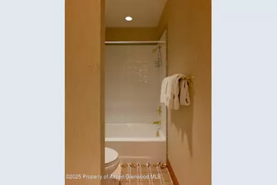316 West End Street, Aspen, CO 81611 - Photo 14
