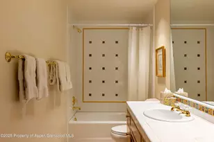 316 West End St, Aspen, CO 81611 - Photo 16