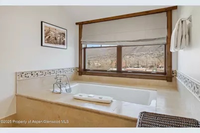 415 E Dean St, Unit 46, Week 34, Aspen, CO 81611 - Photo 18