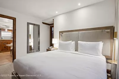 415 E Dean St, Unit 46, Week 34, Aspen, CO 81611 - Photo 16