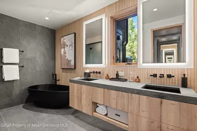 543 Walnut Street #B, Aspen, CO 81611 - Photo 14