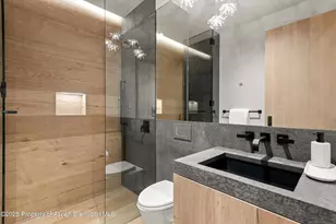 543 Walnut St, Aspen, CO 81611 - Photo 20