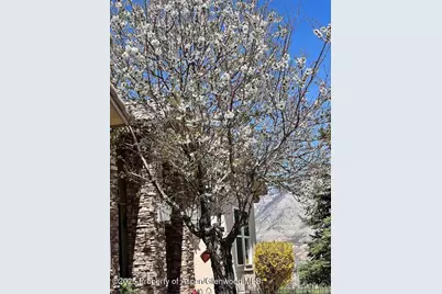 233 Meadow Creek Drive, Parachute, CO 81635 - Photo 24