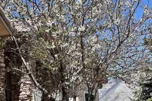 233 Meadow Creek Dr, Parachute, CO 81635 - Photo 24