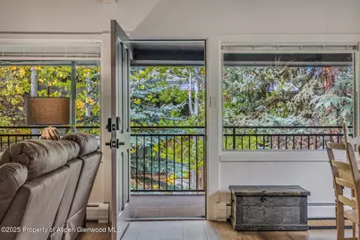 731 S Mill Street #3A, Aspen, CO 81611 - Photo 30