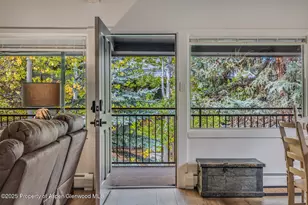 731 S Mill St, Aspen, CO 81611 - Photo 30