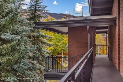 731 S Mill Street #3A, Aspen, CO 81611 - Photo 38
