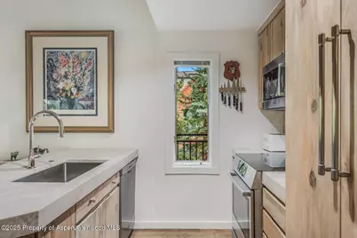 731 S Mill Street #3A, Aspen, CO 81611 - Photo 6