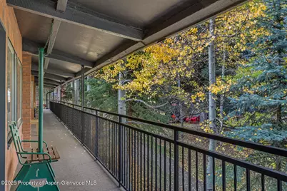 731 S Mill Street #3A, Aspen, CO 81611 - Photo 32