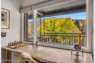 731 S Mill Street #3A, Aspen, CO 81611 - Photo 28