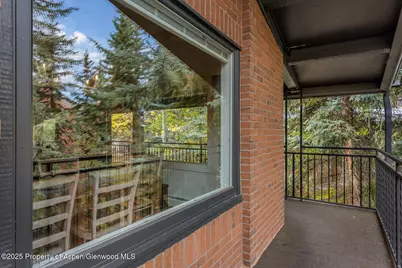 731 S Mill Street #3A, Aspen, CO 81611 - Photo 36