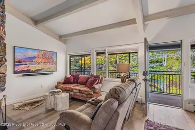 731 S Mill Street #3A, Aspen, CO 81611 - Photo 12