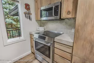 731 S Mill St, Aspen, CO 81611 - Photo 8