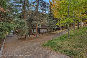 731 S Mill St, Aspen, CO 81611 - Photo 44