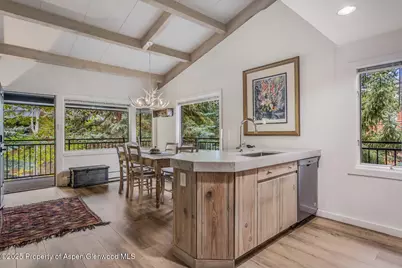731 S Mill Street #3A, Aspen, CO 81611 - Photo 10
