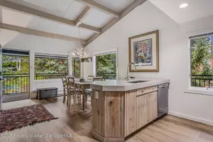 731 S Mill St, Aspen, CO 81611 - Photo 10