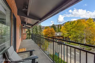 731 S Mill St, Aspen, CO 81611 - Photo 20