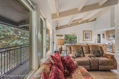 731 S Mill Street #3A, Aspen, CO 81611 - Photo 14