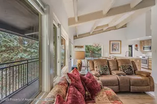 731 S Mill St, Aspen, CO 81611 - Photo 14