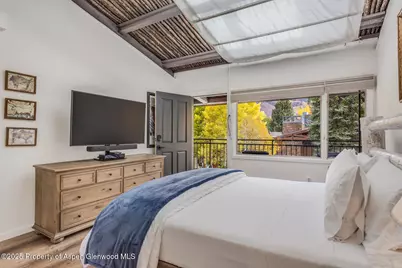 731 S Mill Street #3A, Aspen, CO 81611 - Photo 24