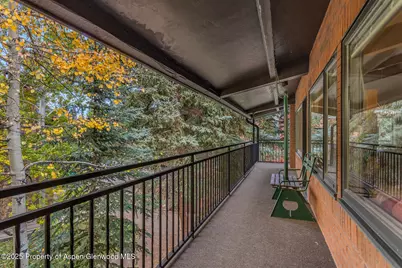 731 S Mill Street #3A, Aspen, CO 81611 - Photo 34