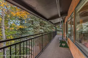 731 S Mill St, Aspen, CO 81611 - Photo 34