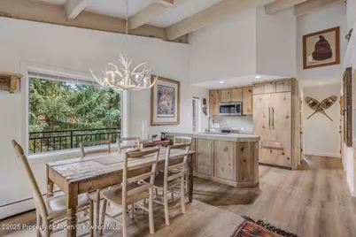 731 S Mill Street #3A, Aspen, CO 81611 - Photo 4