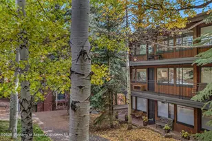 731 S Mill St, Aspen, CO 81611 - Photo 40