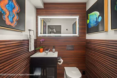 725 E Durant Avenue #22, Aspen, CO 81611 - Photo 12