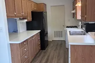 227 Cottonwood Ln, Aspen, CO 81611 - Photo 4