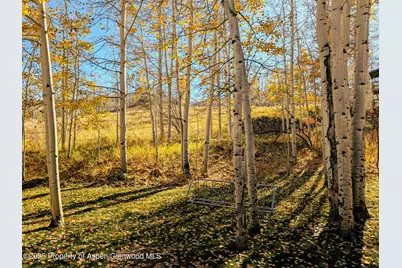 690 Carriage Way #C2G, Snowmass Village, CO 81615 - Photo 8