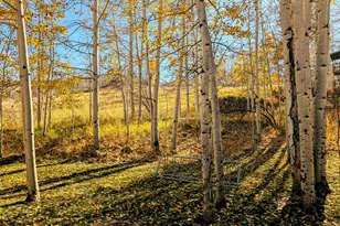 690 Carriage Way, Snowmass Village, CO 81615 - Photo 8
