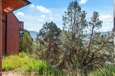 404 Wild Spring Lane, Basalt, CO 81621 - Photo 26