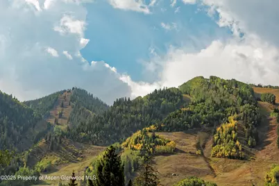 219 N Monarch Street, Aspen, CO 81611 - Photo 38