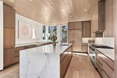 219 N Monarch Street, Aspen, CO 81611 - Photo 8