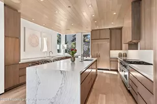 219 N Monarch St, Aspen, CO 81611 - Photo 8