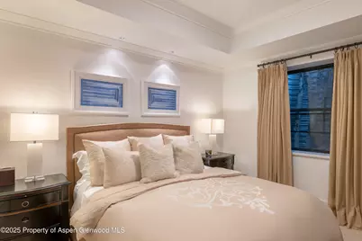 28 Maroon Drive, Aspen, CO 81611 - Photo 30