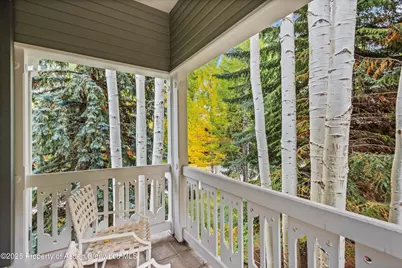 431 W Hopkins Avenue, Aspen, CO 81611 - Photo 26
